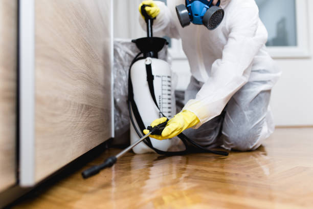 Best Pest Removal Services  in Wabasso, FL