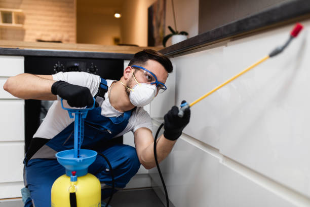 Best Bed Bug Extermination  in Wabasso, FL