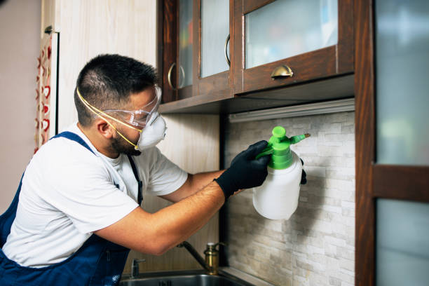 Best Ant Control Services  in Wabasso, FL