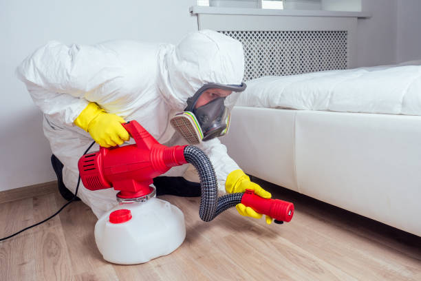 Best Best Pest Control Companies  in Wabasso, FL