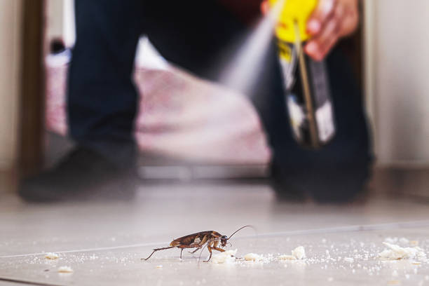 Best Pest Prevention Services  in Wabasso, FL